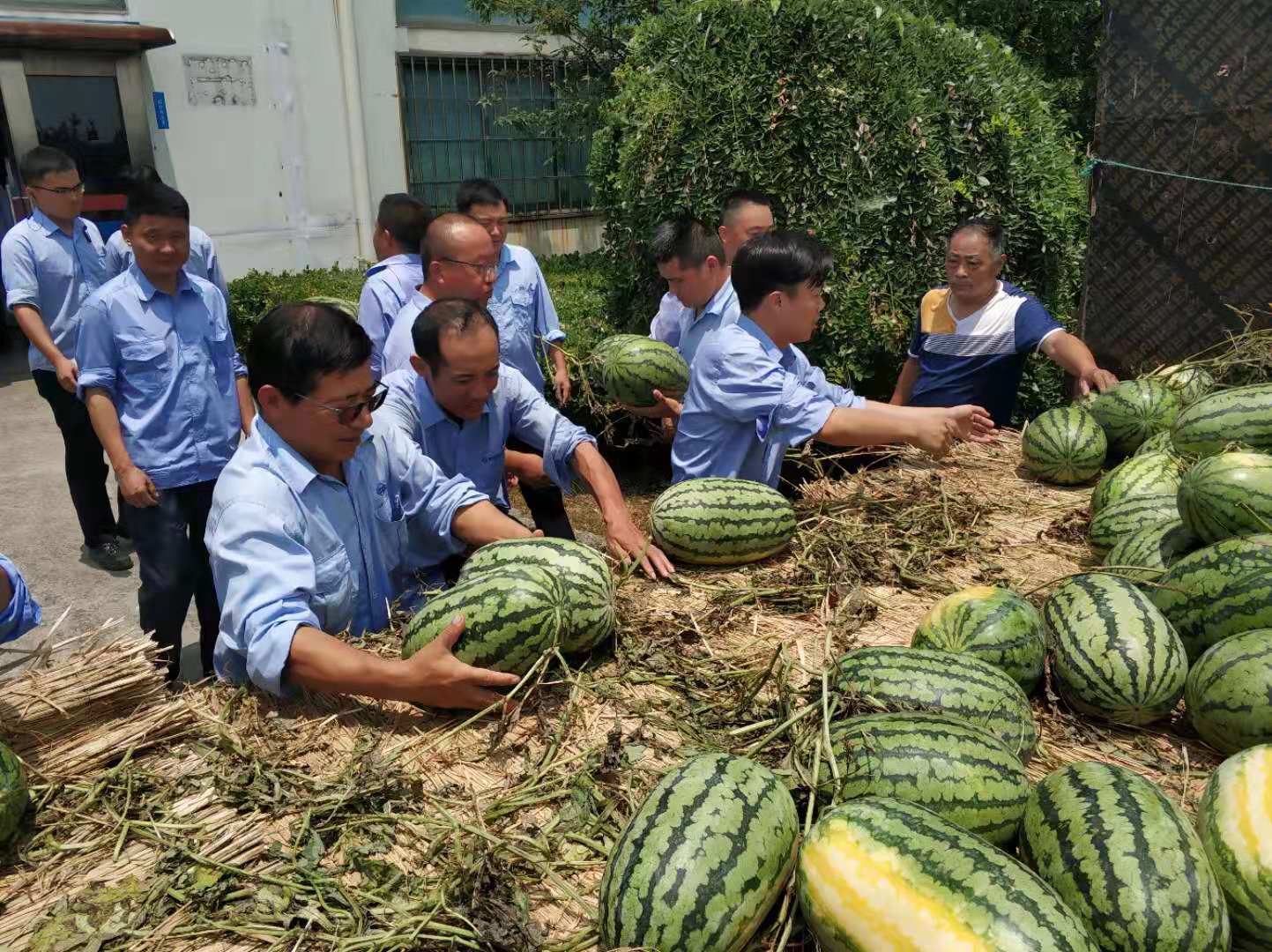 第46頁_新聞中心_蕪湖造船廠有限公司